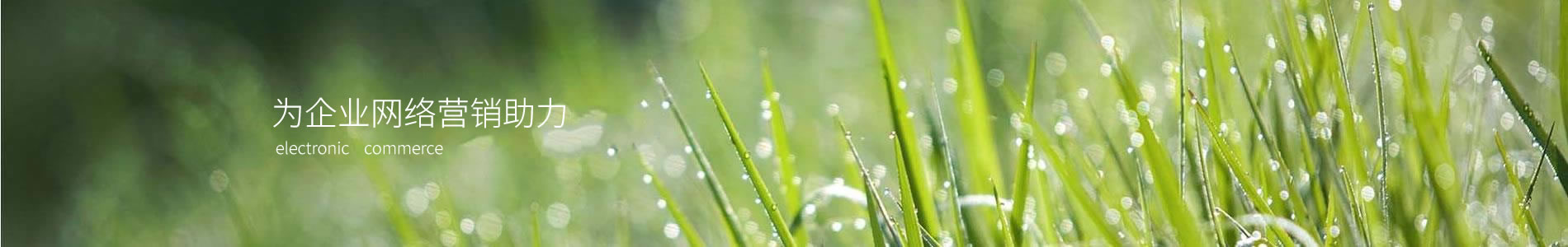 ˹ܣƼ޹˾